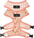 Lucy & Co. Cute Reversible Dog Harness Walking Halter by LucyCo