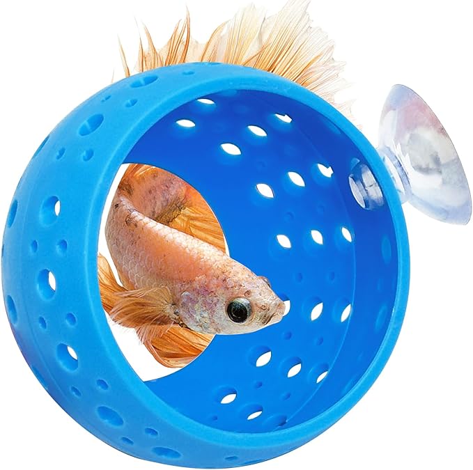 Fhiny Betta Tunnel, Aquarium Fish Hideout by Fhiny