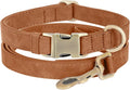 Genuine Leather Dog Collar by HOME