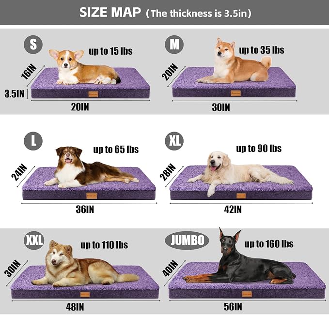 Patas Lague Orthopedic Dog Bed Large Sized Dog 36''X24'', Soft Waterproof Egg - Image 5