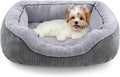 INVENHO Dog Bed for Small Dogs by INVENHO