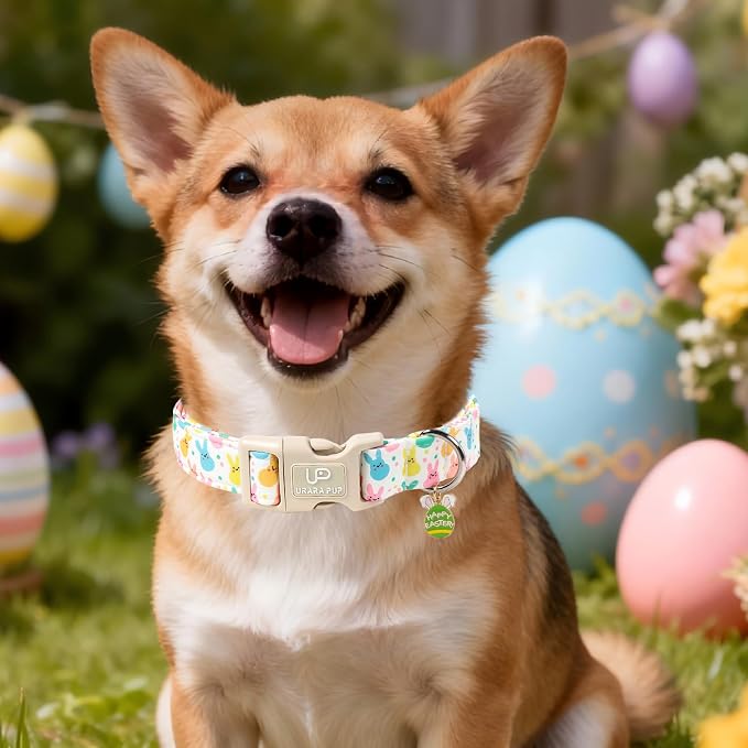 Easter Day Dog Collar, UP URARA PUP Easter Bunny Adjustable Pet Collar - Image 6
