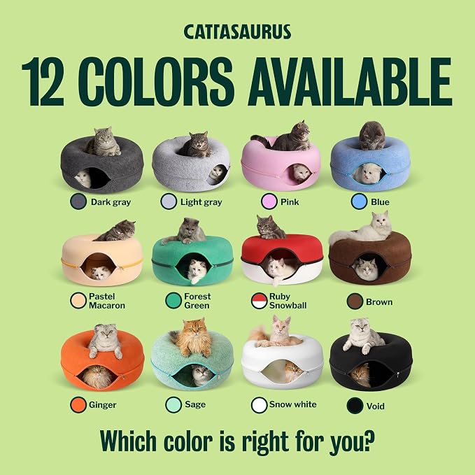 Cattasaurus Peekaboo Cat Cave Donut - Image 8