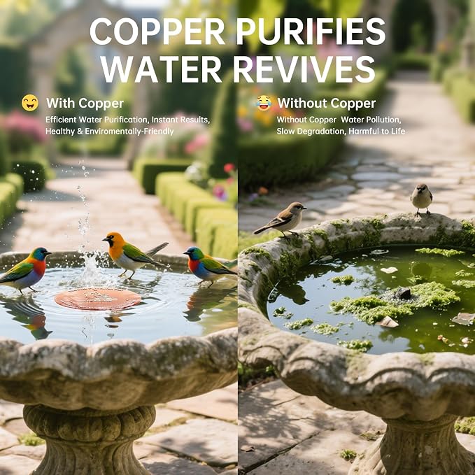 Bird Bath Copper Disk, Premium 0.6mm Sturdy 99.99% Pure Copper Disk - Image 3