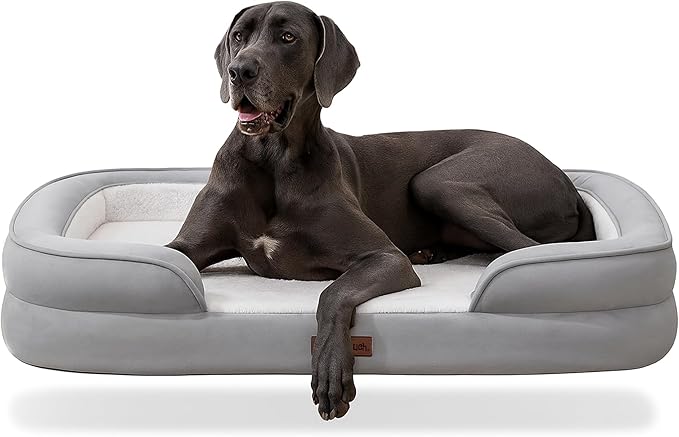 Soft Touch Orthopedic XL Dog Bed by Unknown