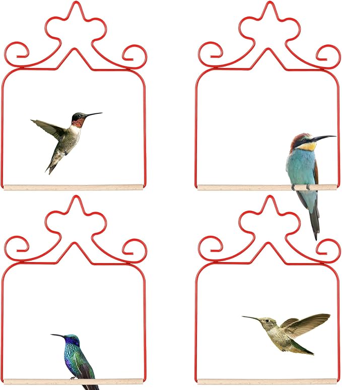 Hummingbird Swings 4 Pack, Rust Resistant Metal Frame by EYROSA