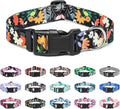 Mercano Adjustable Dog Collar by Unknown