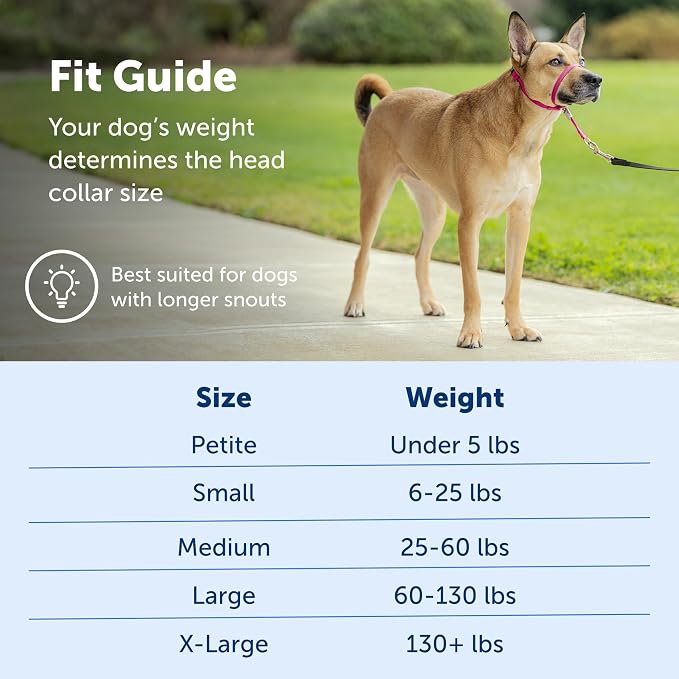 PetSafe Gentle Leader Headcollar No-Pull Dog Collar - Image 5