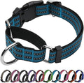 Martingale Dog Collar, Adjustable Nylon Reflective Collar by JOYEEIIOO