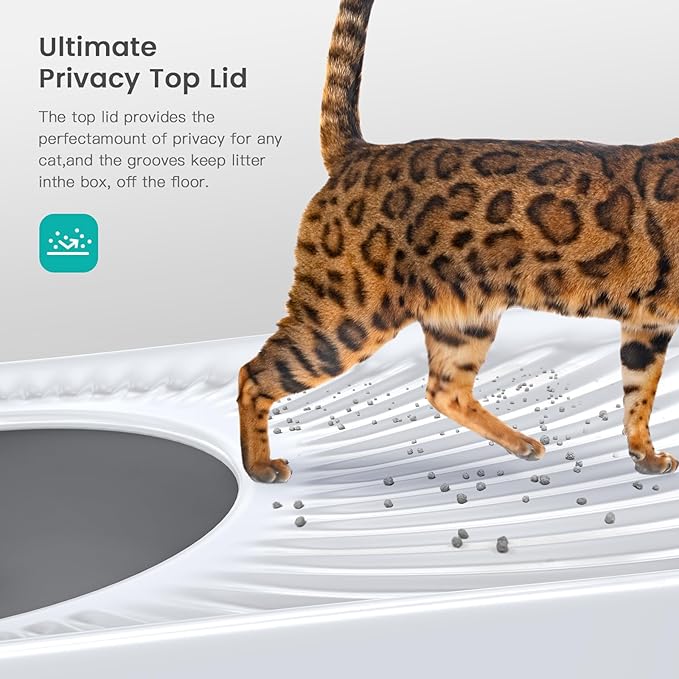 Stainless Steel Cat Litter Box, Large Top Entry Litter Box - Image 5