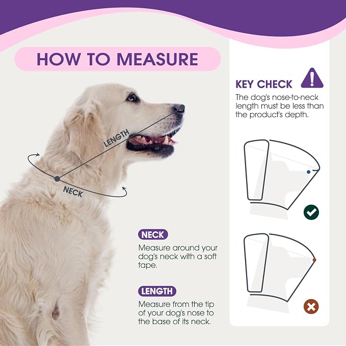 Dog Cone Collar After Surgery, Soft Cone - Image 3
