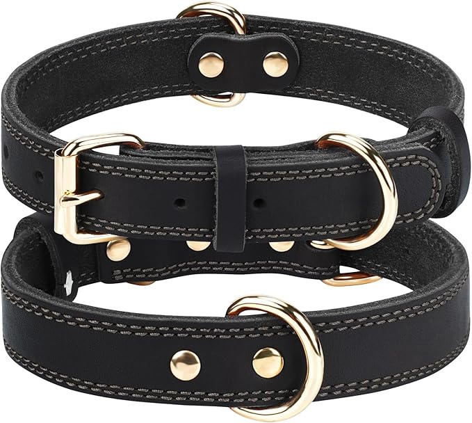 Joytale Leather Dog Collar for Medium Dogs, Genuine Thick Solid Leather by Joytale