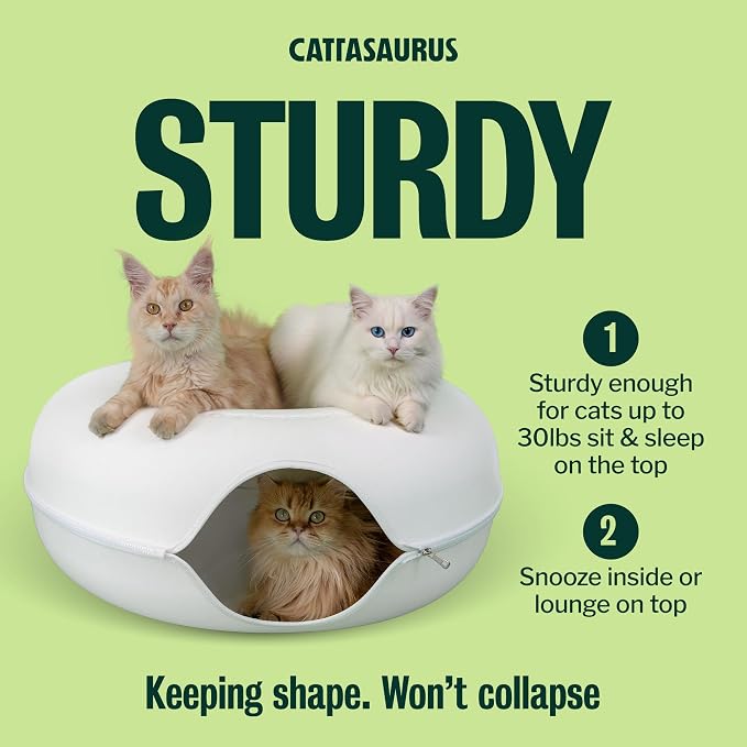 Cattasaurus Peekaboo Cat Cave, Extra Spacious - Image 3