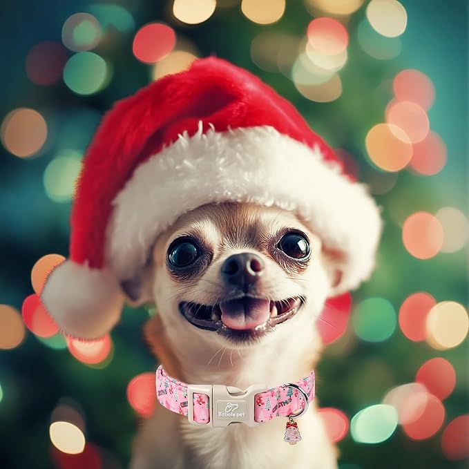 Christmas Dog Collar for Small Dogs - Image 2