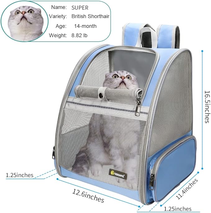 Texsens Pet Backpack Carrier for Small Cats Dogs | Ventilated Design, Safety - Image 2