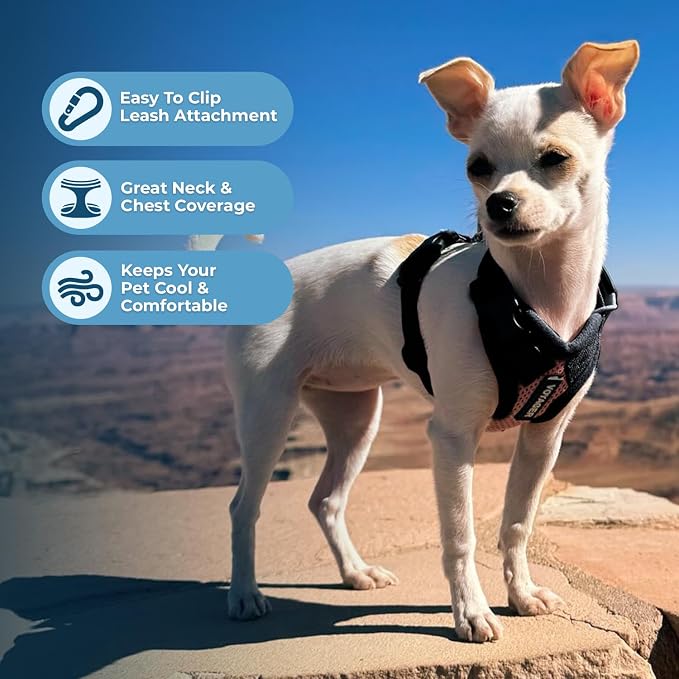 Voyager Step-in Pet Harness - Image 3