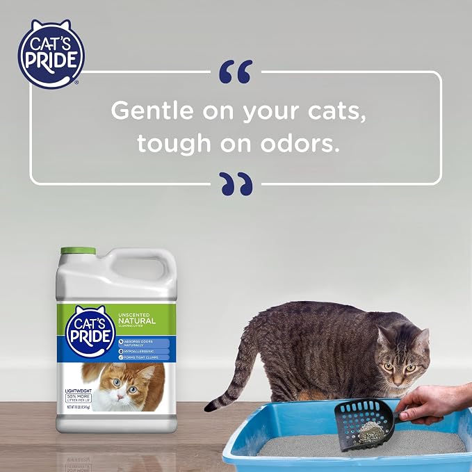 Cat's Pride Lightweight Clumping Litter: Natural - Image 6