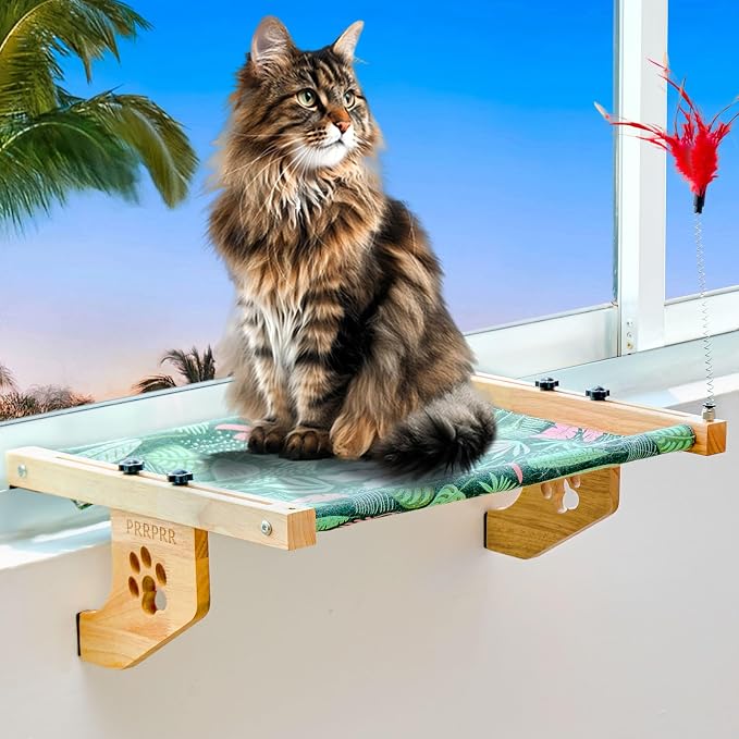 Cat Window Perch for Large Cats Inside, Sturdy Cat Window Hammock Seat by PawtyPets