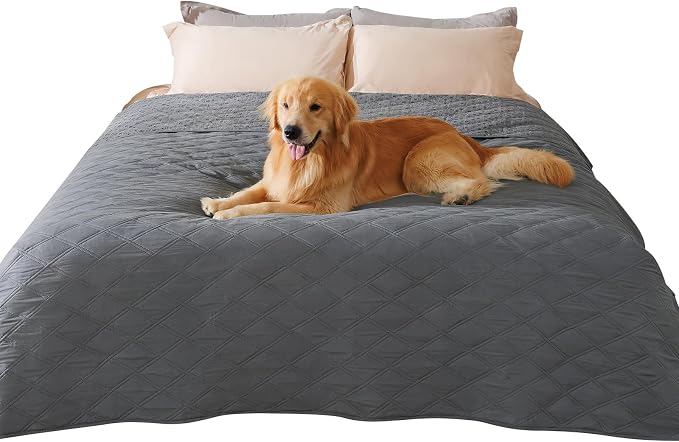 Luciphia 100% Waterproof Couch Cover Blanket by luciphia