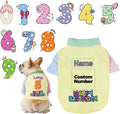 Custom Dog Birthday Shirt, Personalized Pet Apparel Print by Unknown
