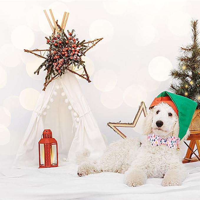 Christmas Dog Collar - Image 6