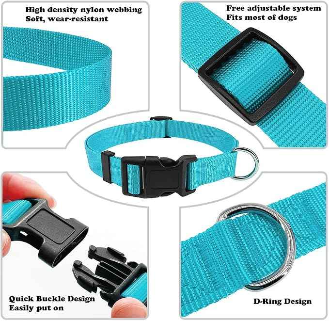Dog Collar Light Blue Basic Dog Collars