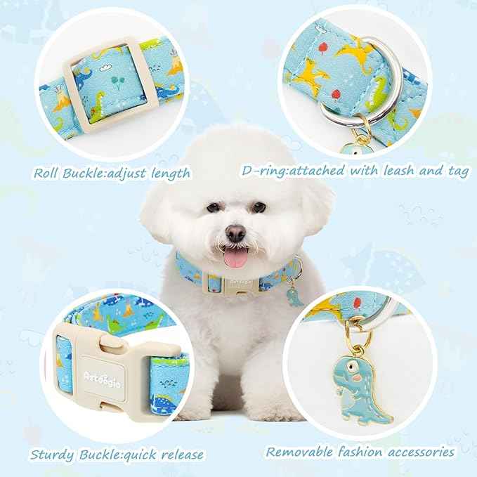 Dinosaur Dog Collar for Extra Small Dogs, Cute Puppy Collars