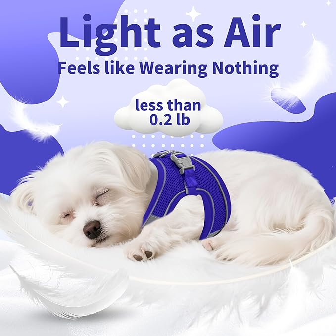 AIITLE Step in Dog Harness and Leash Set - Image 10