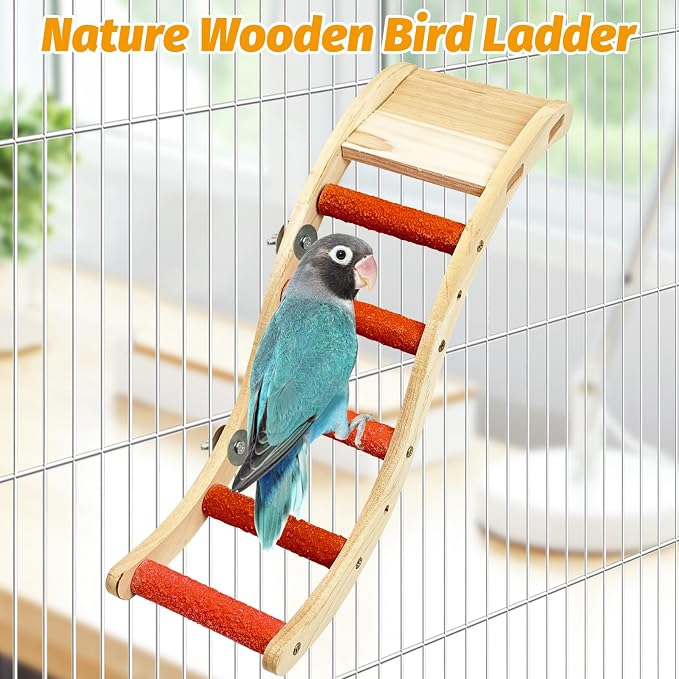 Hamiledyi Nature Wooden Bird Ladder Pet Parrots Climb Bridge Exercise Stands - Image 2