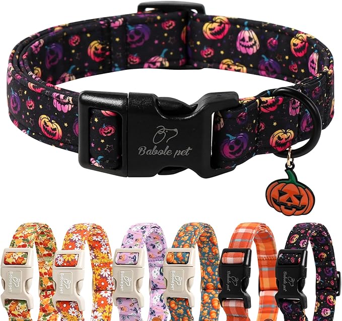 Halloween Dog Collar Spooky Fun Pumpkin Puppy Collar by Babolepet