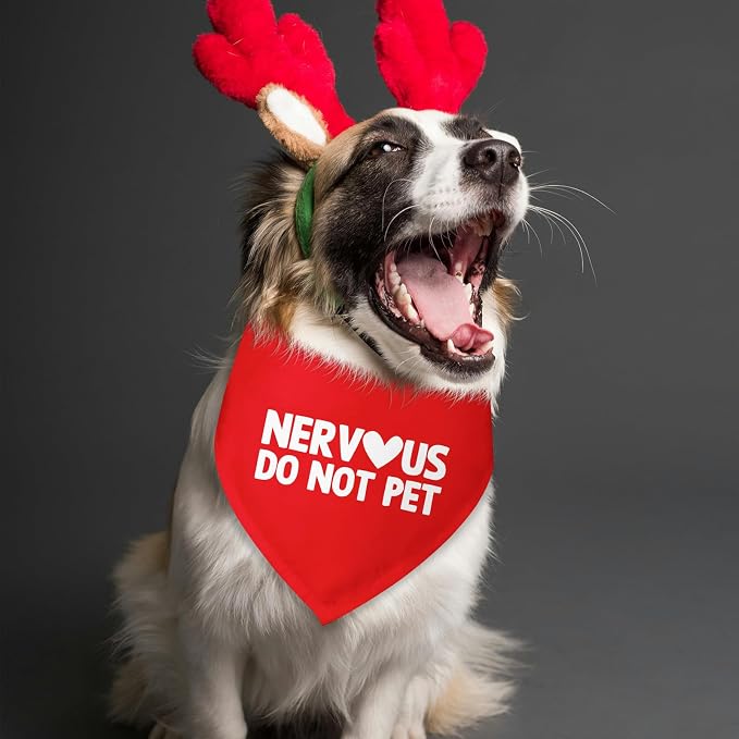 Nervous Do Not Pet Dog Bandana Service Bandana Service Dog in Training Funny - Image 3