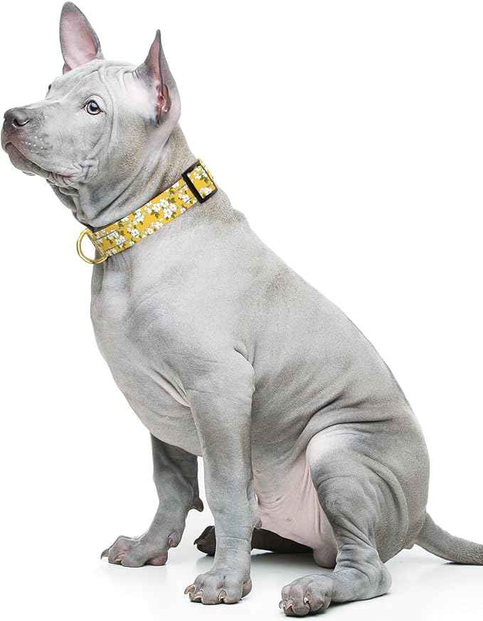 Reflective Dog Collar for Medium Dogs, Cute Flower Theme Adjustable Heavy-Duty