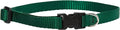 LupinePet Basics 1/2" Green 10-16" Adjustable Collar by LupinePet