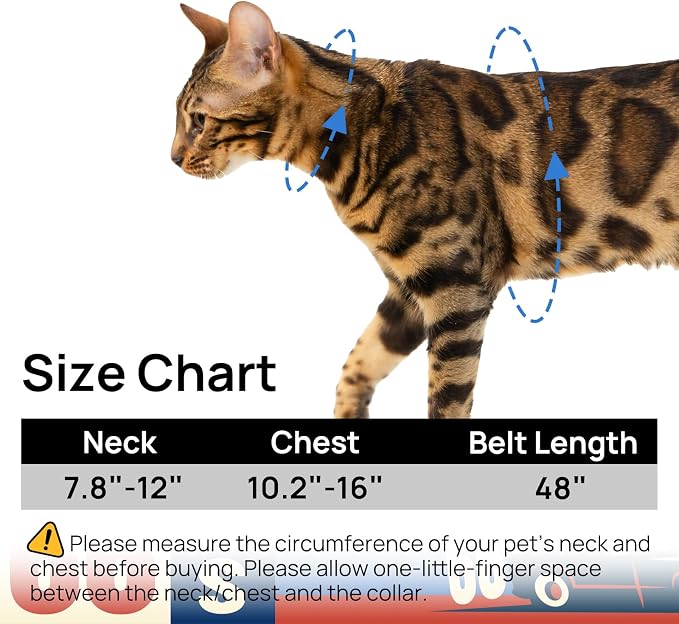 Cat Harness and Leash Set - Image 6