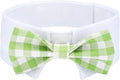 Segarty Dog Bow Tie, Adjustable Green Plaid Bowtie Collar by Segarty