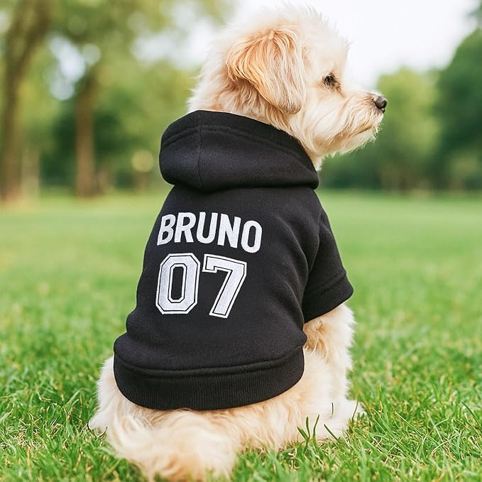Personalized Name Dog Hoodie, Embroidered Hoodies Pets Name, Custom Pet Memorial - Image 3