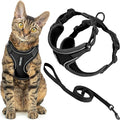Voyager Escape-Proof Step-in Lock Cat Harness & 5ft Neoprene-Handle Leash Set by BestPetSuppliesLLC
