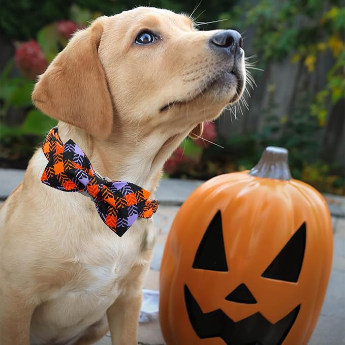 Halloween Dog Collar, Pet Collar Bow Plaid Dog Collars Girl Boy Holiday Pet - Image 3