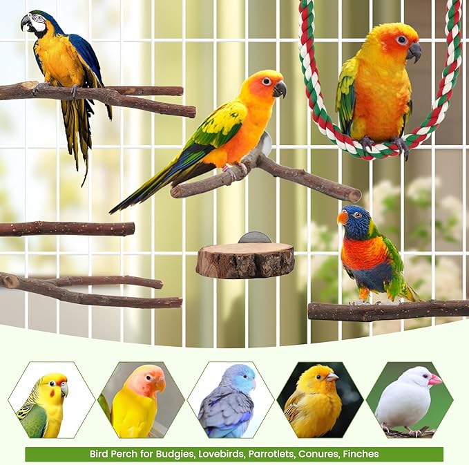 BILLIOTEAM 9PCS Apple Wood Bird Perches, Natural Parrot Stand & Chewing Toy - Image 7