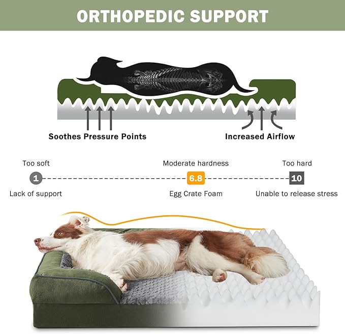 INVENHO Orthopedic Medium Dog Dogs, Egg-Crate Foam Dog Couch - Image 2