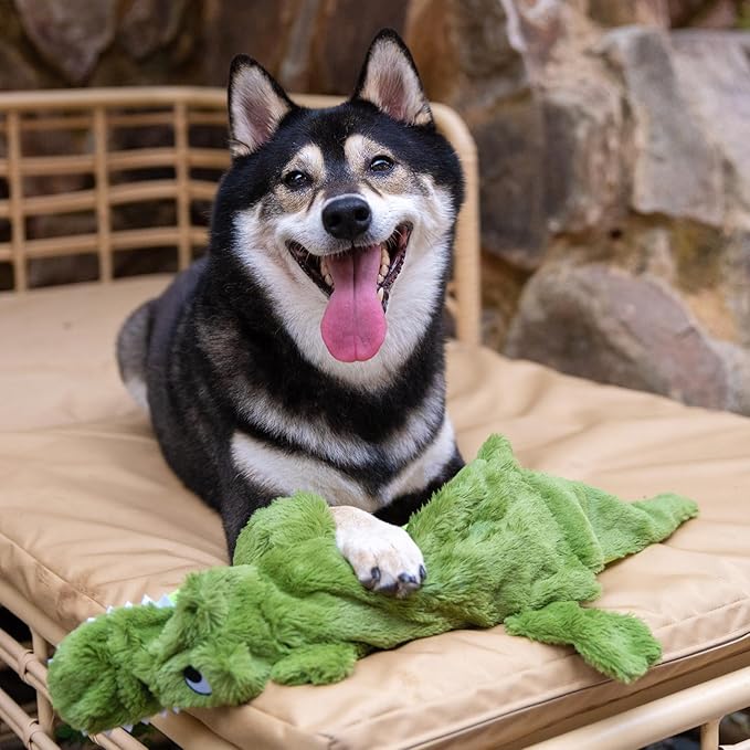 Best Pet Supplies Squeaky Dog Toys - Image 9