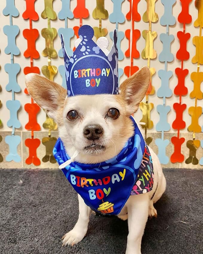 Dog Birthday Party Decorations - Image 5