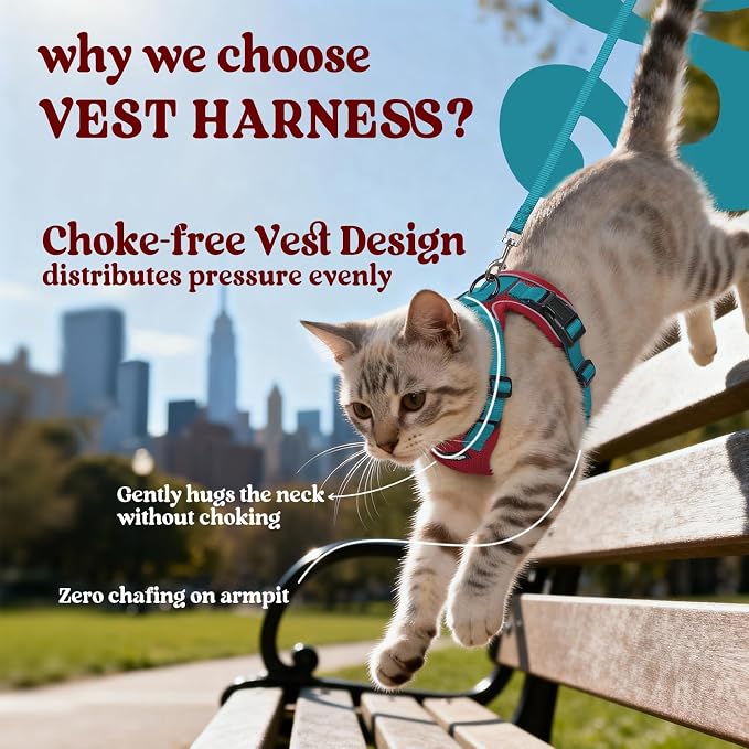 rabbitgoo Cat Harness and Leash - Image 3