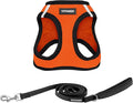 Best Pet Supplies Voyager Step-in Air All Weather Mesh Harness and Reflective by BestPetSuppliesLLC