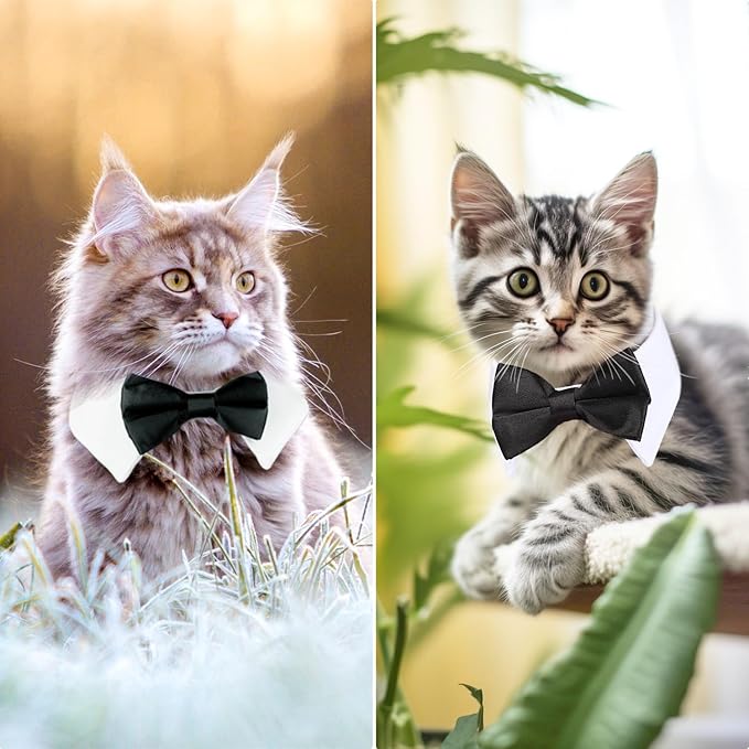 Segarty Bow Tie Cat Collar for Neck Girth 8.8-10.5 in, Tux Puppies Dog Bowtie - Image 5