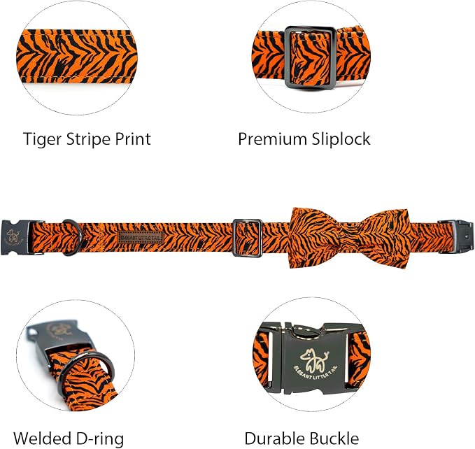 Elegant Little Tail Tiger Print Dog Collar, Unique Seasonal Design, Buckle - Image 2