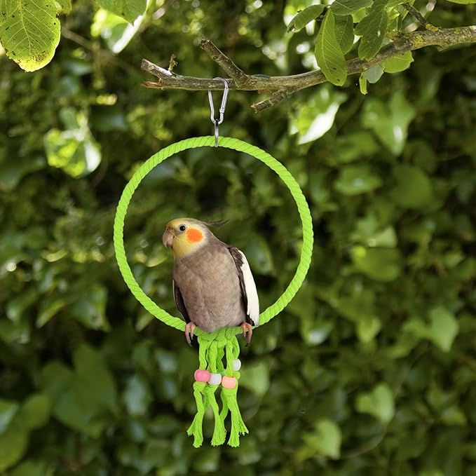 Bird Swing, 20 CM Diameter Hanging Parrot Swing - Image 5