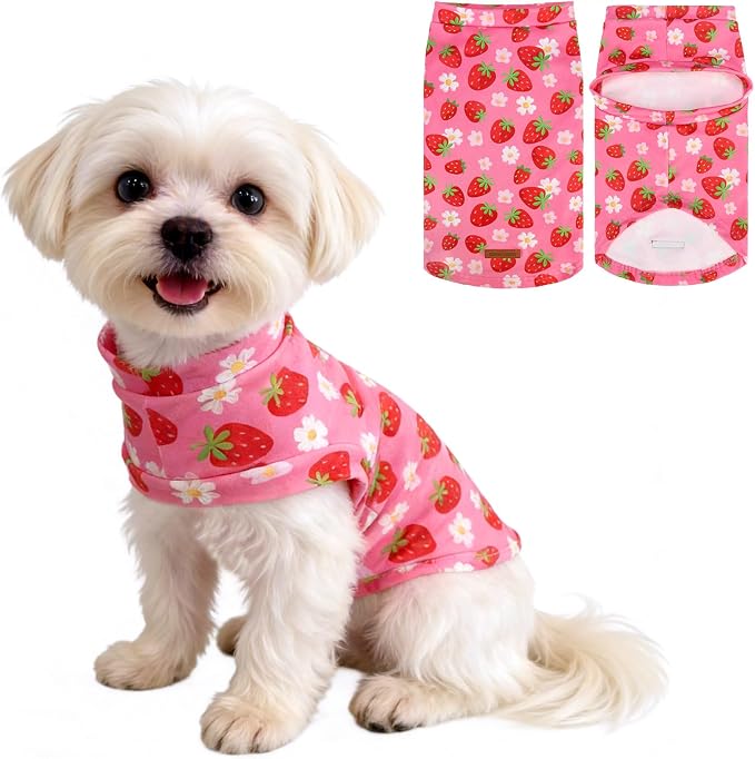 EXPAWLORER Soft Cat Sweater by EXPAWLORER