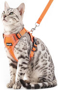 Cat Harness and Leash Escape Proof Medium Kitten Harness Bengal Cat Vest by pangdi