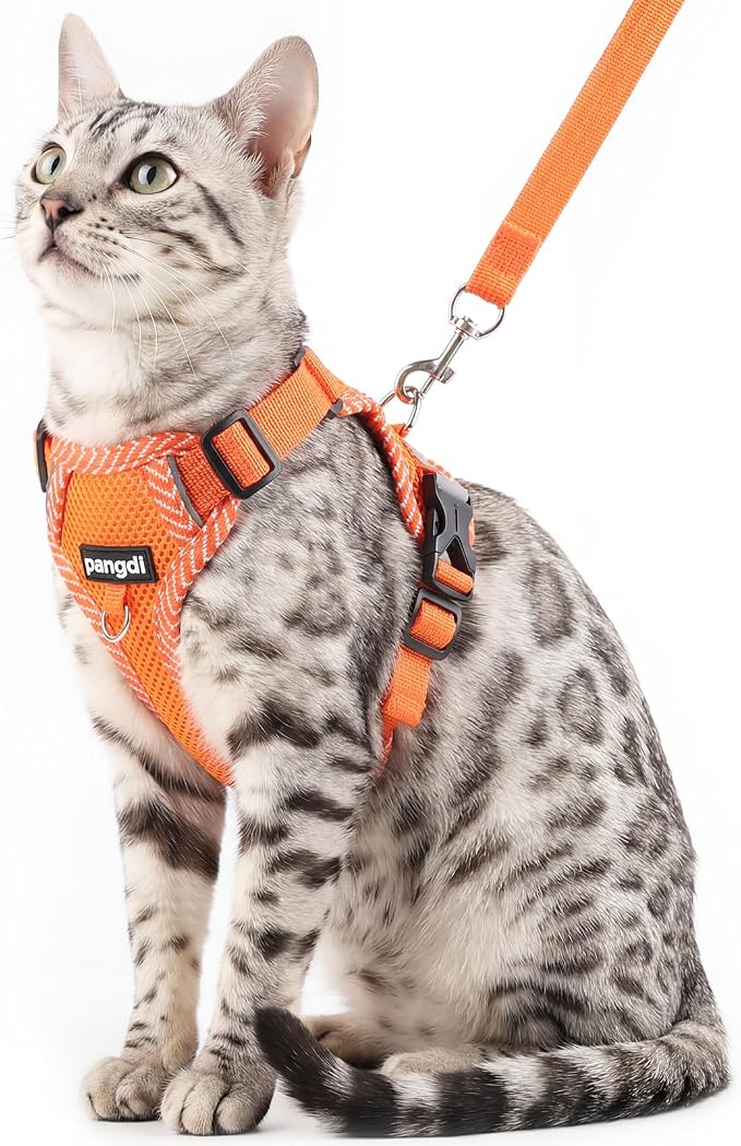Cat Harness and Leash Escape Proof Medium Kitten Harness Bengal Cat Vest by pangdi